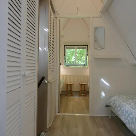 Casa Del Bosque - *
