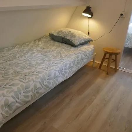 Casa Del Bosque - *