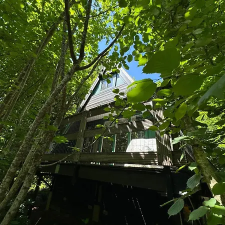 Casa Del Bosque - *