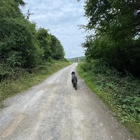 Casa Del Bosque - Alpstuga *