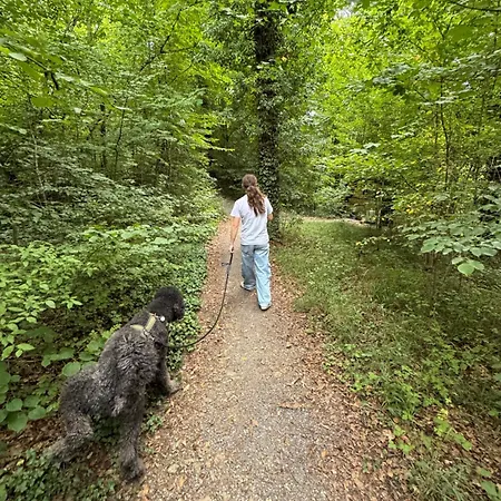 Alpstuga Casa Del Bosque - Durbuy