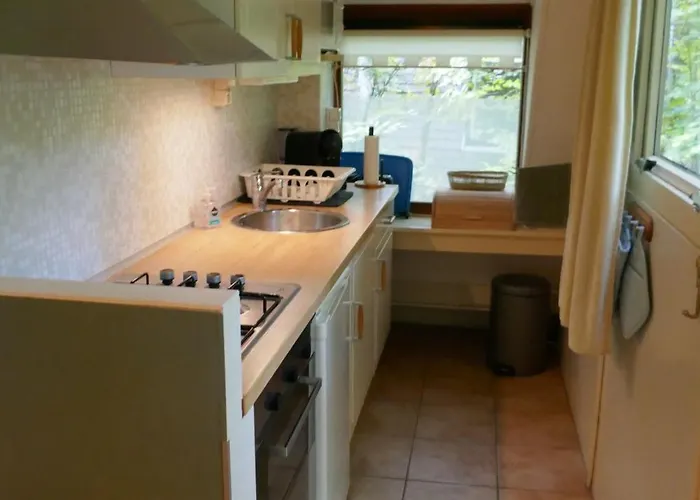 Chalet Casa Del Bosque - *