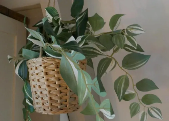 Casa Del Bosque - Chalet *