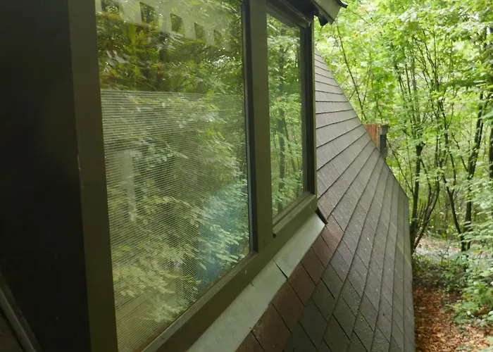 Chalet Casa Del Bosque - *