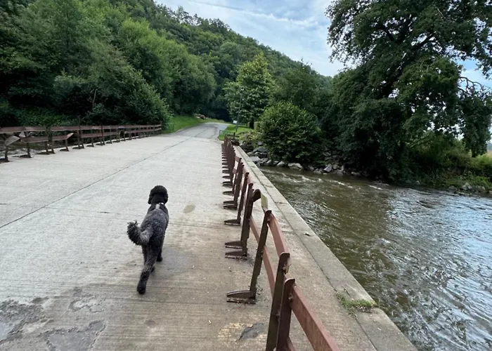 Chalet Casa Del Bosque -