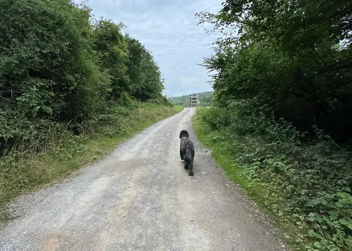 Casa Del Bosque - Chalet *