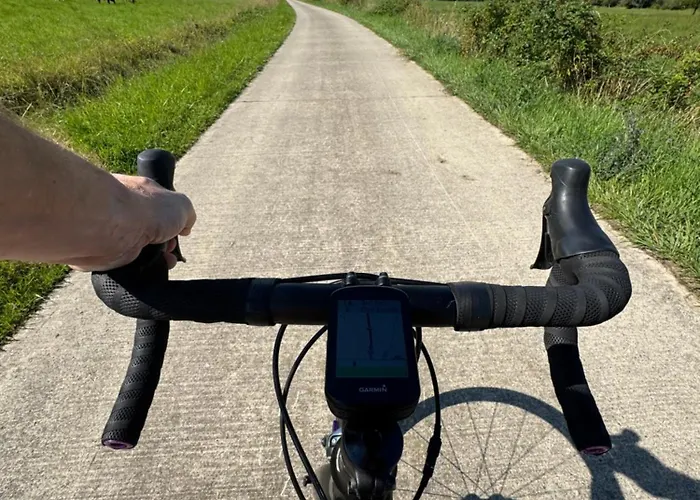 Chalet Casa Del Bosque - *