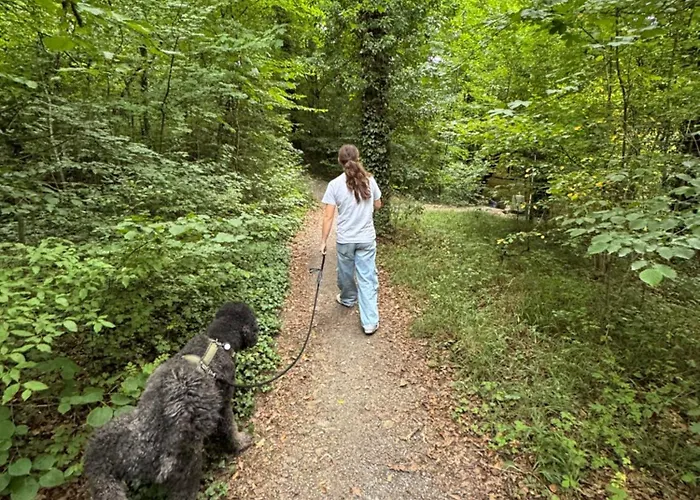 Chalet Casa Del Bosque - Durbuy